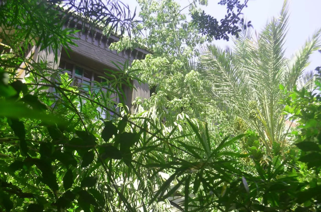 מרקש Dar Doukkala Riad & Spa